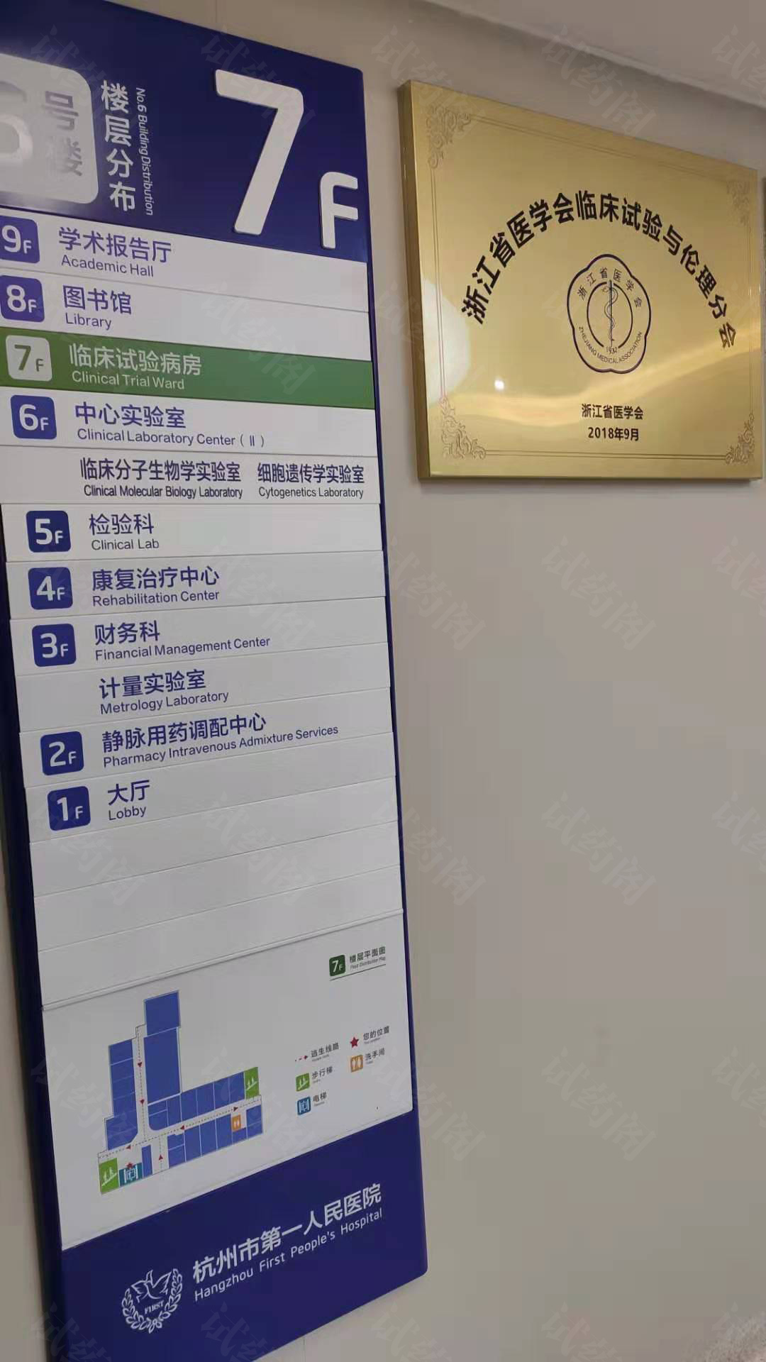 杭州市第一人民医院临床试验病房位于5号楼7层
