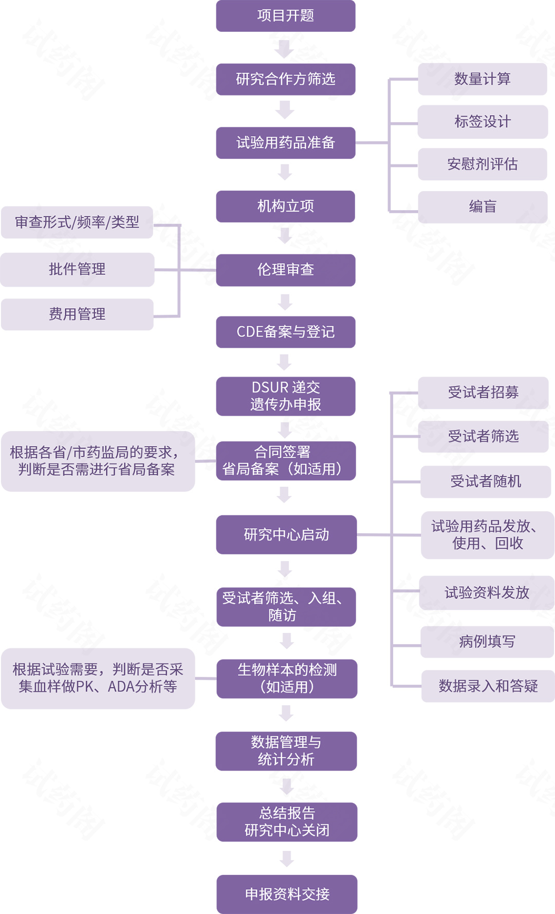 临床试验申办方流程