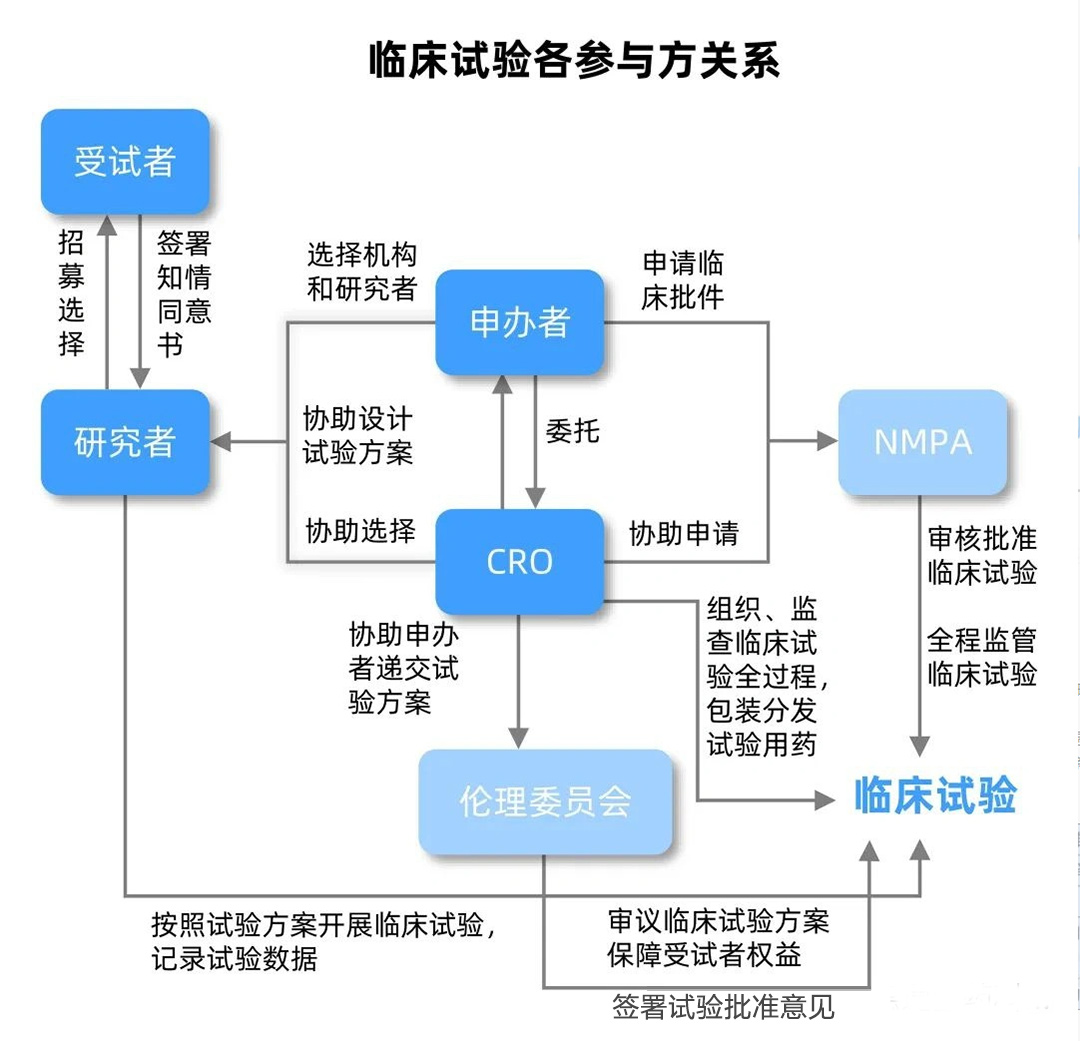 临床试验各参与方关系