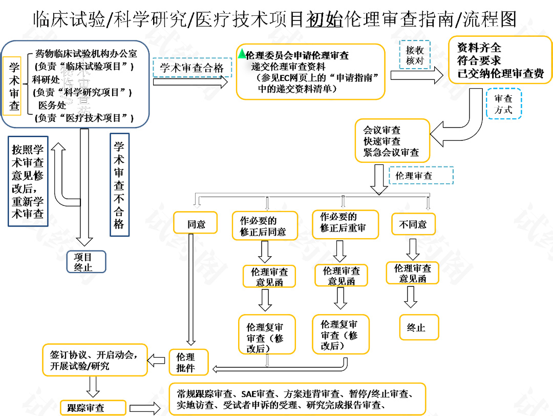 伦理委员会如何审查？IRB/IEC怎样运作