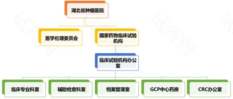 湖北省肿瘤医院临床试验工作安排和要求