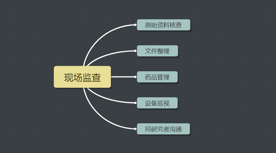 现场监查工作内容