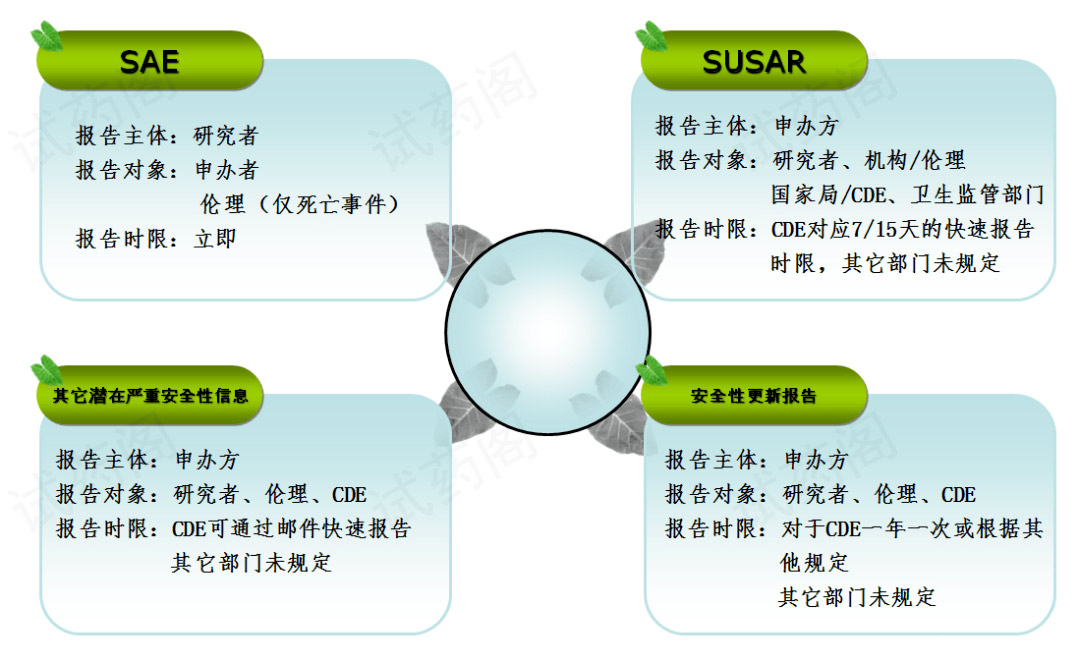 严重不良事件SAE报告流程