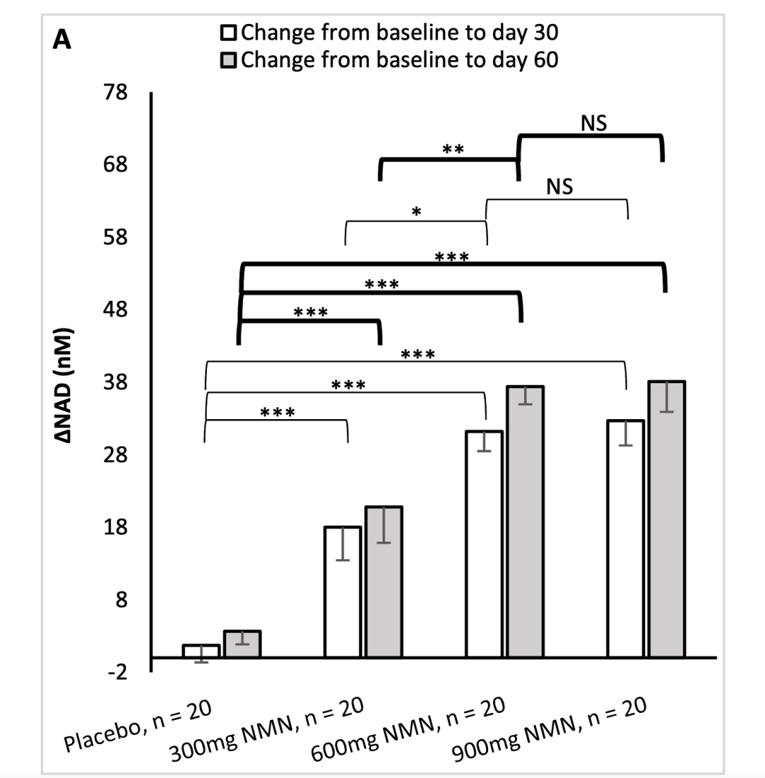 服用NMN使血液NAD+水平明显提升