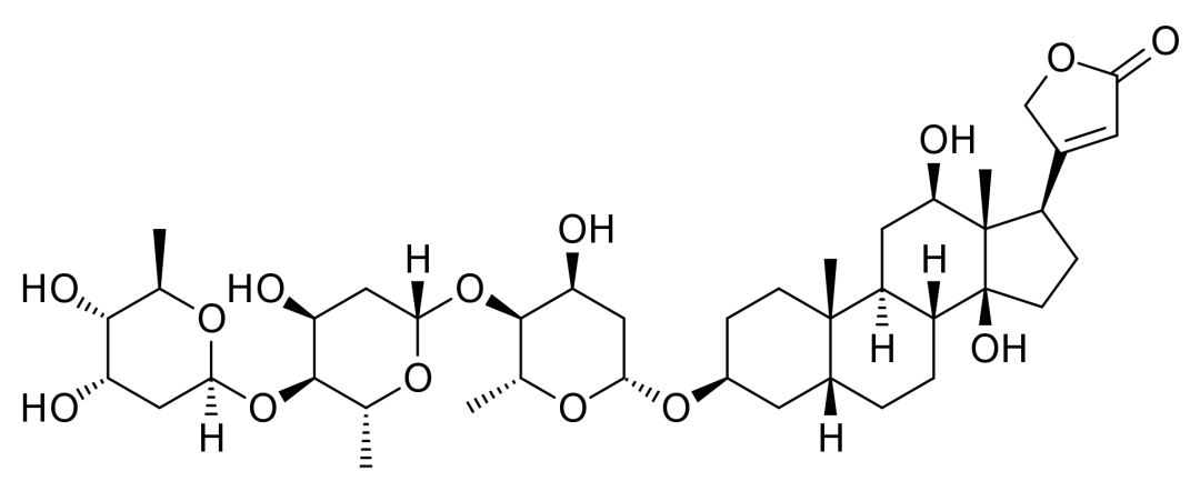 图4 Digoxin