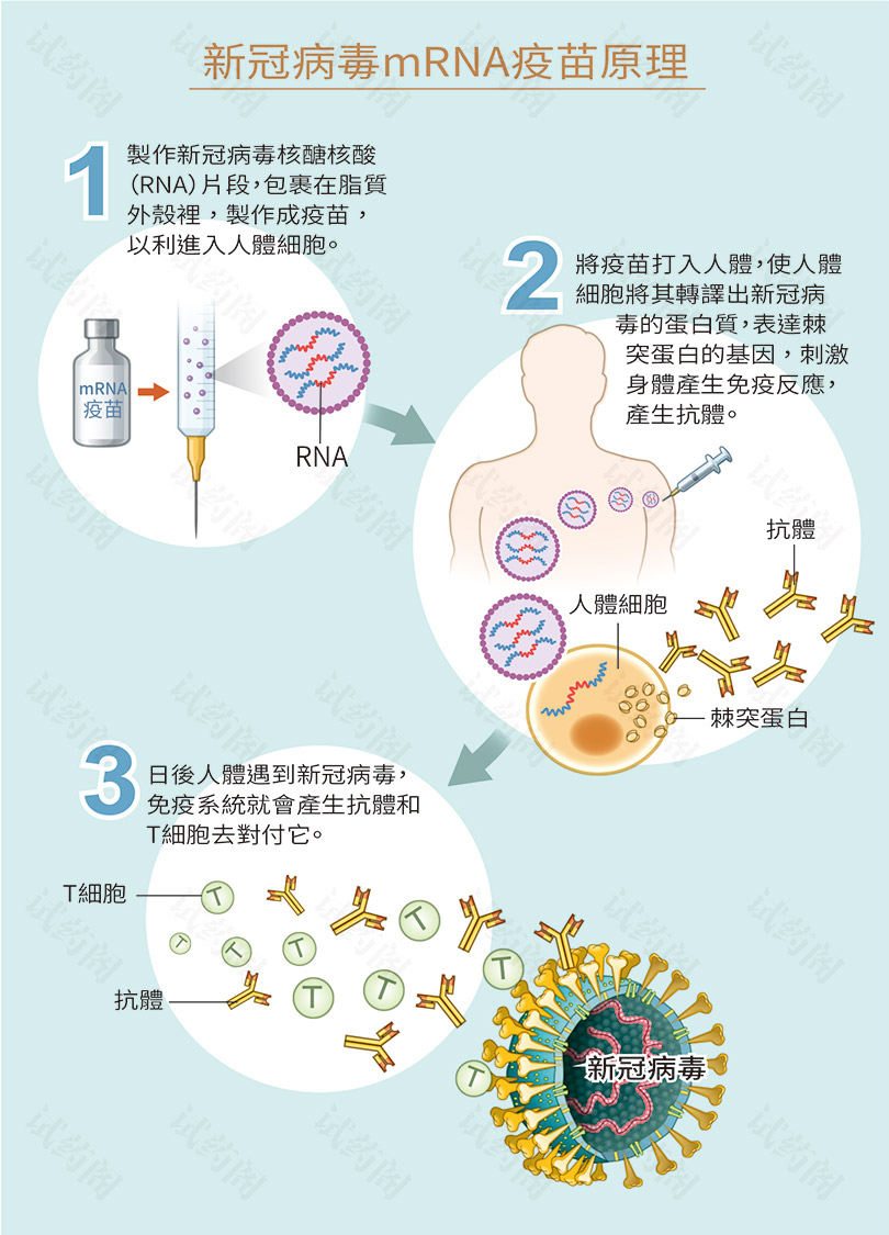 中国企业启动mRNA疫苗临床试验，针对EBV肿瘤全球首发